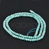 Faceted Rondelle Natural Amazonite Bead Strands G-F289-06A-2