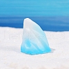 Resin Iceberg Ornaments PW-WG21245-08-1