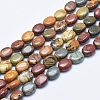 Natural Polychrome Jasper/Picasso Stone/Picasso Jasper Beads Strands G-E444-46B-2