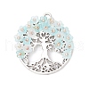 Alloy Pendants PALLOY-MZ00669-05-1