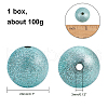 Crapy Exterior Acrylic Beads ACRP-PH0001-02-2