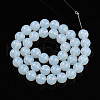 Transparent Glass Beads Strands GLAA-T032-T10mm-14-2