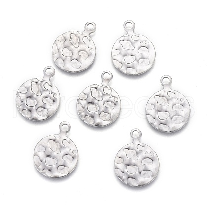 Non-Tarnish 304 Stainless Steel Charms STAS-F249-48P-1