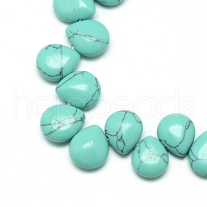 Dyed Synthetic Turquoise Gemstone Beads Strands G-T005-10-1