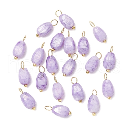 20Pcs Opaque Baking Painted Crackle Glass Charms PALLOY-JF03952-05-1