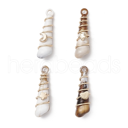 Copper & Acrylic & Plastic Pendants PALLOY-JF03887-02-1