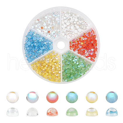   6 Bagds 6 Colors Resin Cabochons MRMJ-PH0002-82-1