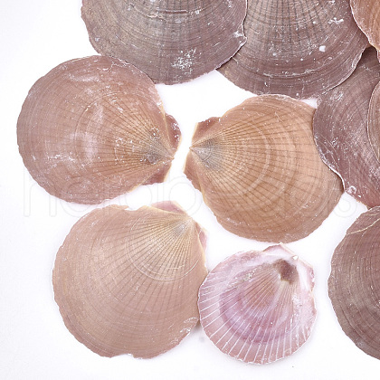 Shell Beads SSHEL-T005-07A-1