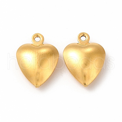 304 Stainless Steel Charms STAS-F289-01G-1