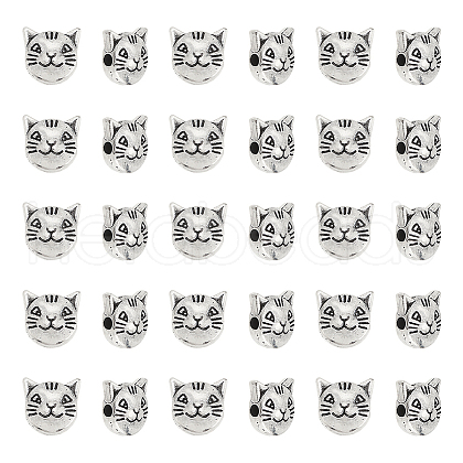30Pcs Tibetan Style Alloy Beads TIBEB-LP0001-10-1