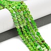 Dyed Synthetic Imperial Jasper Beads Strands G-M403-A37-01-2