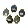 Natural Labradorite Pendants G-E526-04A-2