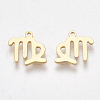 Ion Plating(IP) 304 Stainless Steel Charms X-STAS-S107-06A-1