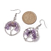 Natural Mixed Stone & Brass Dangle Earring EJEW-JE05981-3