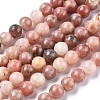 Natural Plum Blossom Jasper Beads Strands G-A163-02-8mm-4