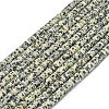 Natural Dalmatian Jasper Beads Strands G-P575-B03-6x1mm-2