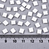 2-Hole Glass Seed Beads SEED-S031-L-ST41FR-2