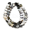 Natural Black Lip Shell Beads Strands SHEL-K006-17-2