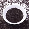 MIYUKI Delica Beads SEED-X0054-DB1002-2