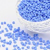 8/0 Glass Seed Beads SEED-US0003-3mm-43B-1