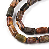 Natural Picasso Jasper/Polychrome Jasper Beads Strands G-N346-01A-05-4