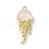 Alloy Pendants FIND-Z067-05G-10-1