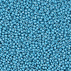 11/0 Czech Opaque Glass Seed Beads SEED-N004-003B-16-4