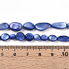 Natural White Shell Beads Strands SHEL-N036-21B-4