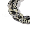 Natural Dalmatian Jasper Beads Strands G-K362-I14-06-4