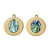 304 Stainless Steel Natural Paua Shell Pendants STAS-L288-08G-01-1