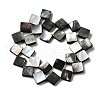 Natural Black Lip Shell Beads Strands BSHE-D300-09-2