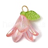 6Pcs Transparent Acrylic Pendants PALLOY-JF02300-01-2