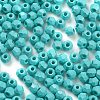 Baking Paint Glass Seed Beads SEED-A032-02H-3