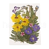 Pressed Dried Flowers DIY-YWC0001-97-2