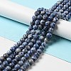 Natural Blue Spot Jasper Beads Strands G-P476-01D-02-2