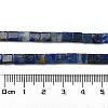 Natural Lapis Lazuli Beads Strands G-F762-A22-01-5