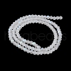 Transparent Glass Beads Strands X-EGLA-A044-T8mm-MB19-4