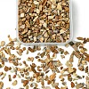50G Natural Picture Jasper Chips G-YW0001-73-1
