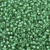 MIYUKI Round Rocailles Beads SEED-X0054-RR0646-2