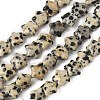Natural Dalmatian Jasper Star Beads Strands G-Z080-A08-2