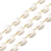 Handmade Oval Plastic Beaded Chains CHS-I019-10G-01-1
