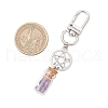 7 Chakra Natural Lapis Lazuli & Amazonite & Amethyst & Citrine & Green Aventurine & Rose Quartz & Red Aventurine Chips inside Glass Wishing Bottles Pendant Decorations HJEW-JM03152-3