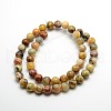 Round Natural Crazy Lace Agate Beads Strands X-G-P058C-01-1