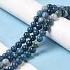 Natural Dyed White Jade Beads Strands G-M402-C03-02-1
