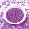 MIYUKI Round Rocailles Beads X-SEED-G007-RR1339-2