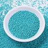 MIYUKI Delica Beads SEED-X0054-DB0658-2