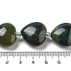 Natural Indian Agate Beads Strands G-C150-A05-01-5