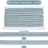 Metallic Polyester Ribbon OCOR-WH0065-14B-2