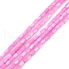 Natural Freshwater Shell Dyed Beads Strands SHEL-M018-12-10-1