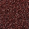 MIYUKI Delica Beads X-SEED-J020-DB2160-3